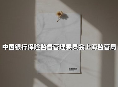 立足风险防控 服务民生保障:上海银保监局以创新监管护航金融高质量发展