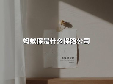 蚂蚁保:重新定义互联网保险服务的平台级解决方案