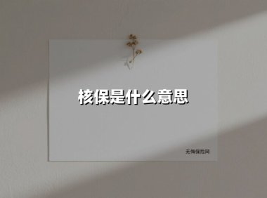 核保是什么意思(2025最新权威解答)