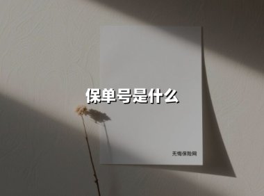 保单号：保险合同的关键钥匙，如何守护你的保障权益？