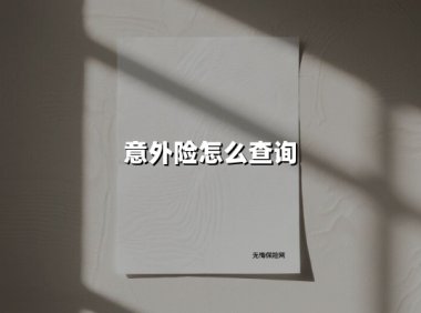 2025最新指南｜意外险查询全攻略：3分钟找到你的保单“保险箱”