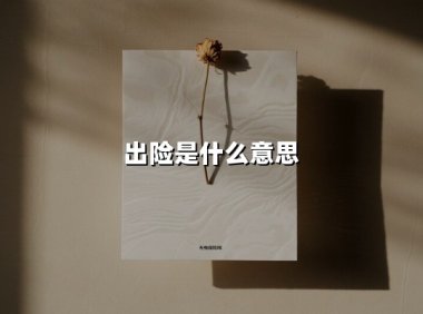 出险是什么意思？从保险术语到生活场景的全解析