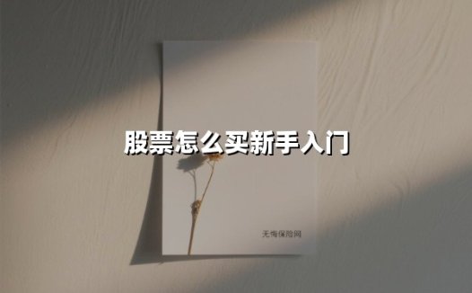 股票怎么买新手入门(2025最新权威解答)
