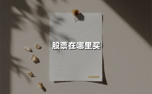 股票在哪里买(2025最新权威解答)