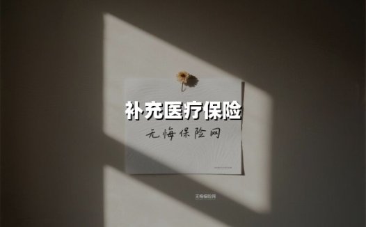 补充医疗保险（2025最新权威解答）