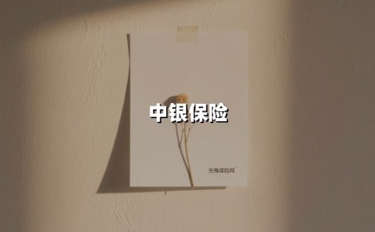 中银保险(2025最新权威解答)