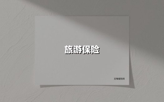 旅游保险(2025最新权威解答)