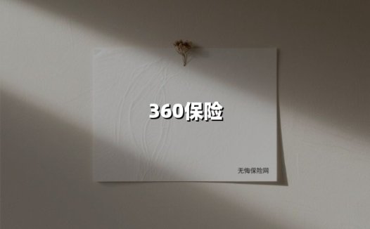 360保险(2025最新权威解答)