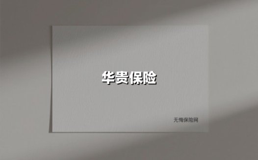 华贵保险(2025最新权威解答)