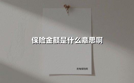 保险金额是什么意思啊(2025最新权威解答)