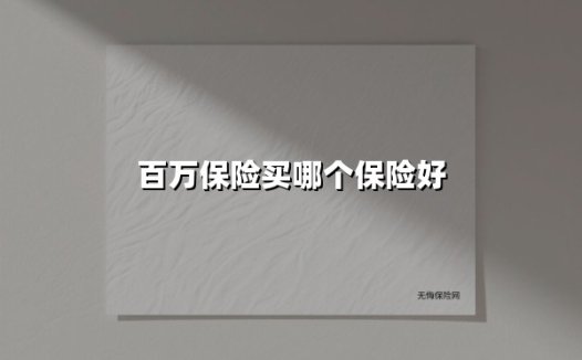 百万保险买哪个保险好(2025最新权威解答)