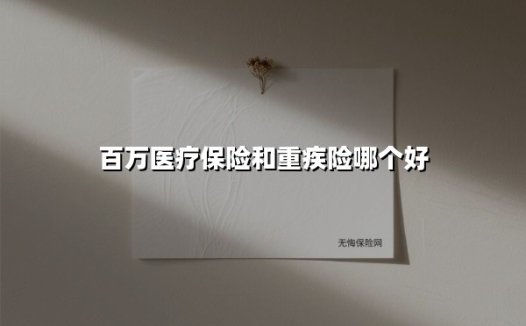 百万医疗保险和重疾险哪个好(2025最新权威解答)