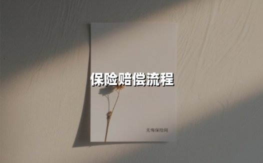 保险赔偿流程(2025最新权威解答)