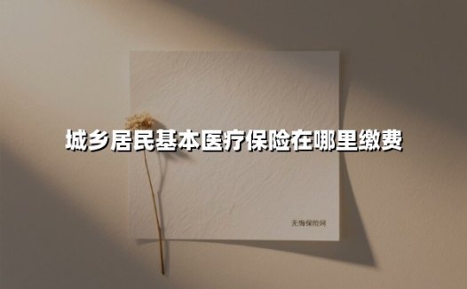 城乡居民基本医疗保险在哪里缴费(2025最新权威解答)