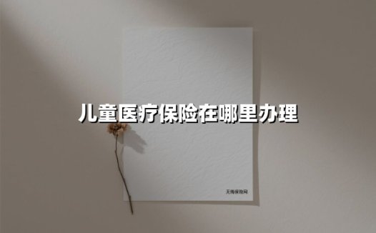 儿童医疗保险在哪里办理(2025最新权威解答)