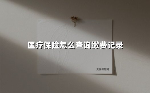 医疗保险怎么查询缴费记录(2025最新权威解答)