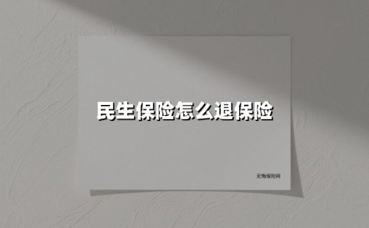民生保险怎么退保险(2025最新权威解答)