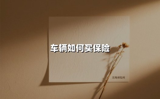 车辆如何买保险(2025最新权威解答)