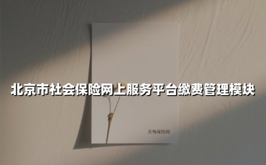 北京市社会保险网上服务平台缴费管理模块(2025最新权威解答)