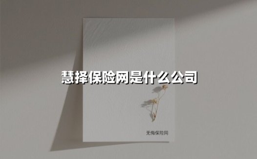 慧择保险网是什么公司(2025最新权威解答)