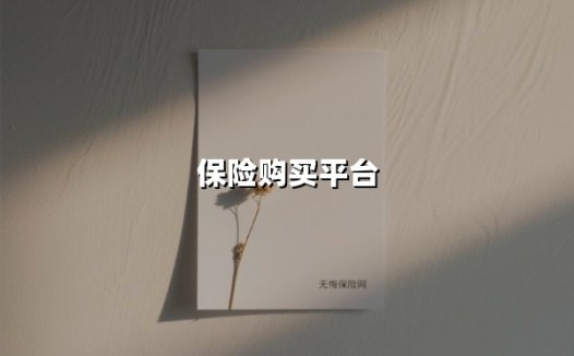保险购买平台(2025最新权威解答)