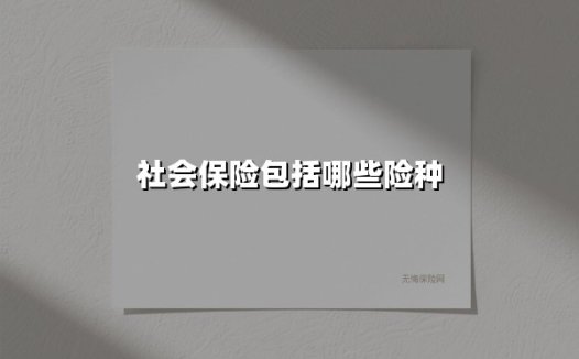 社会保险包括哪些险种(2025最新权威解答)