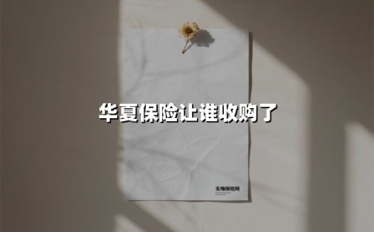 华夏保险让谁收购了(2025最新权威解答)