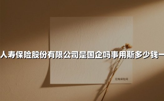 中国人寿保险股份有限公司是国企吗事用斯多少钱一个月（2025最新权威解答）