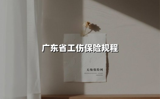 广东省工伤保险规程(2025最新权威解答)