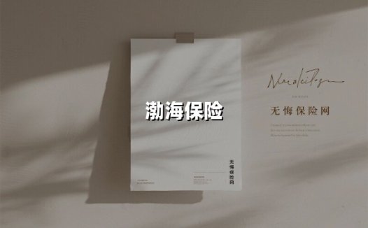 渤海保险(2025最新权威解答)