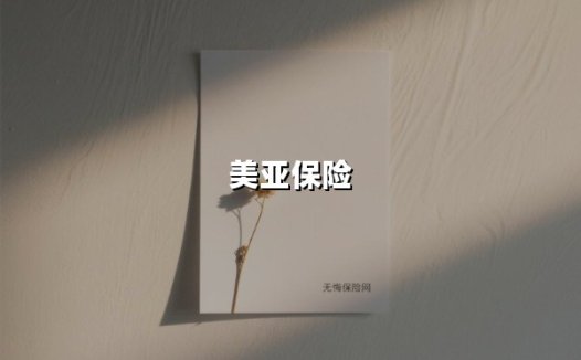 美亚保险（2025最新权威解答）
