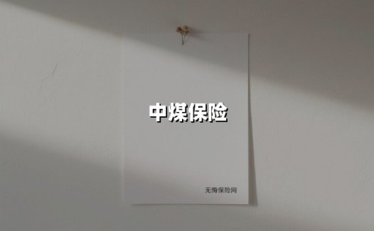 中煤保险(2025最新权威解答)