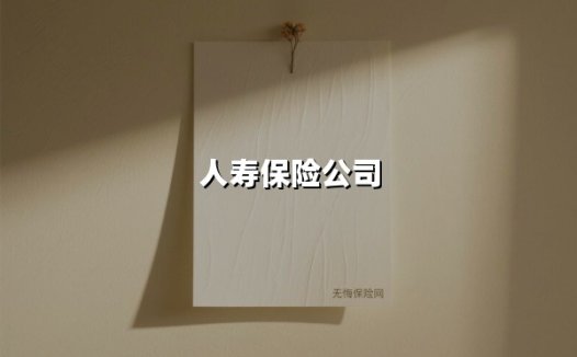人寿保险公司（2025最新权威解答）