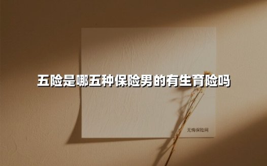 五险是哪五种保险男的有生育险吗(2025最新)