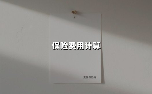 保险费用计算(2025最新)