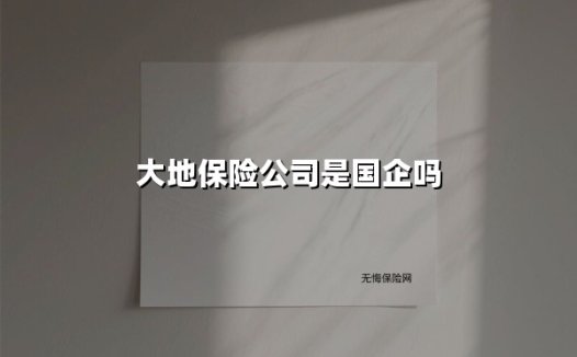大地保险公司是国企吗(2025最新)