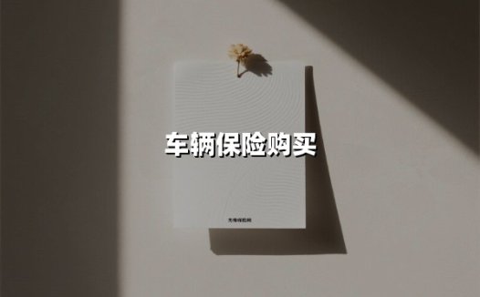车辆保险购买(2025最新)
