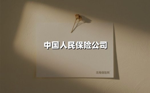 中国人民保险公司(2025最新)