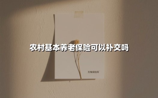 农村基本养老保险可以补交吗(2025最新)