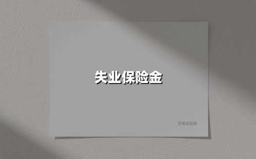 失业保险金(2025最新)