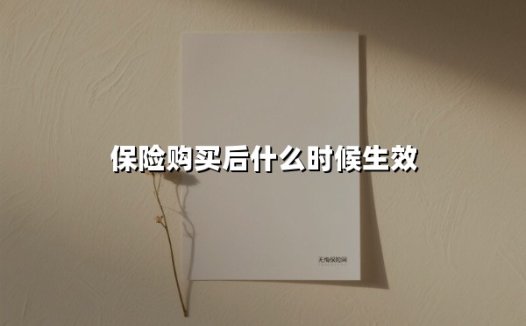 保险购买后什么时候生效(2025最新)