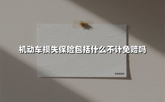 机动车损失保险包括什么不计免赔吗(2025最新)