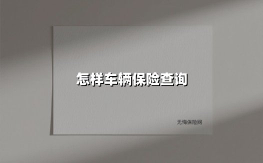 怎样车辆保险查询(2025最新)