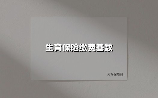 生育保险缴费基数(2025最新)