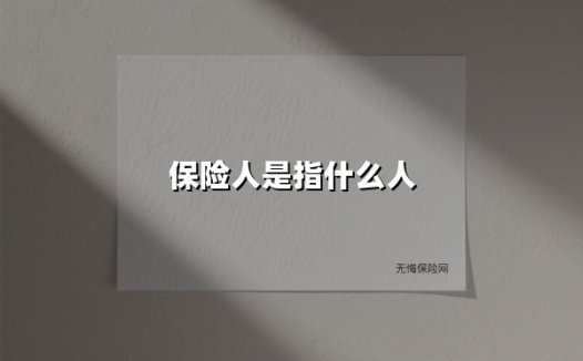 保险人是指什么人(2025最新)