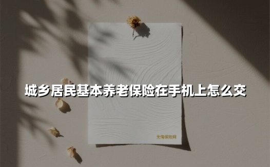 城乡居民基本养老保险在手机上怎么交(2025最新)