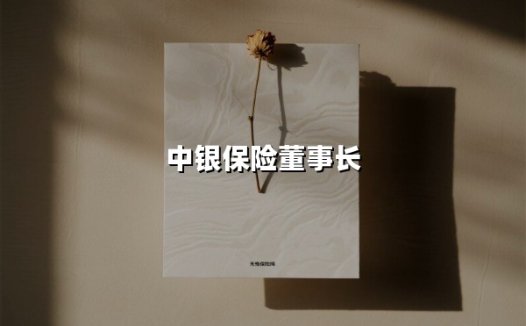 中银保险董事长(2025最新)