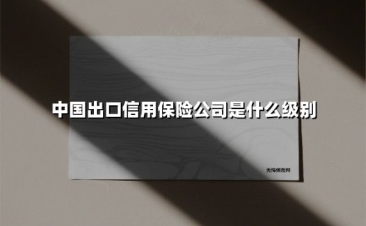 中国出口信用保险公司是什么级别(2025最新)