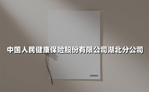中国人民健康保险股份有限公司湖北分公司(2025最新)