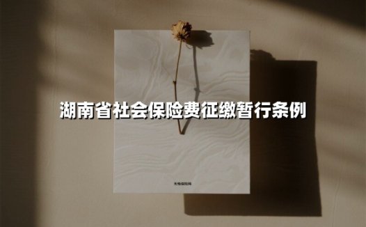 湖南省社会保险费征缴暂行条例(2025最新)